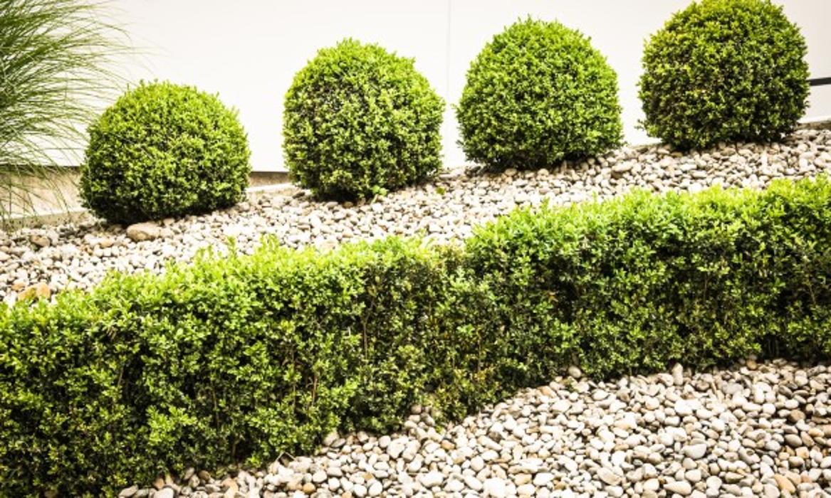 7A Renovations & Landscaping - Fayetteville, NC