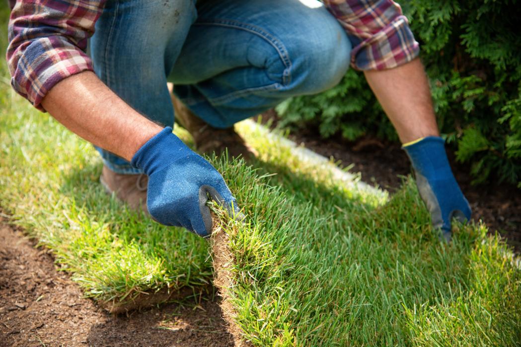 Cobo's Treeservice - Riverside, CA