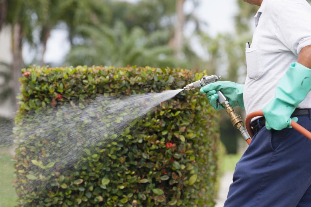 Cobo's Treeservice - Riverside, CA