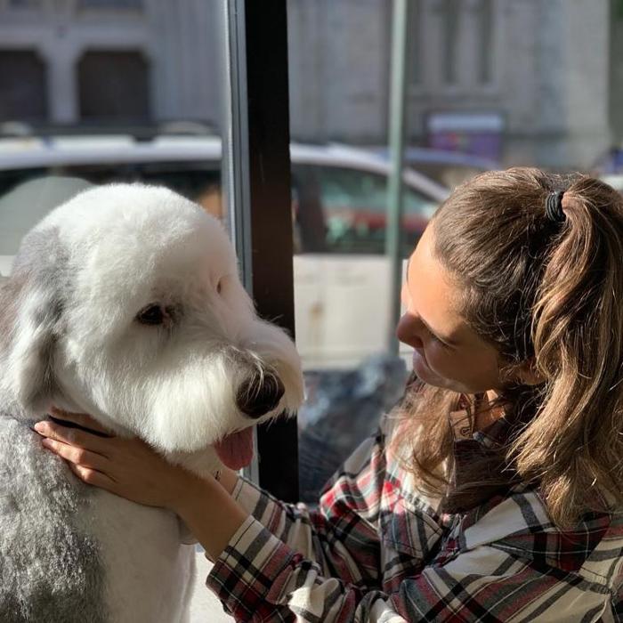 Homedoggy - Brooklyn, NY