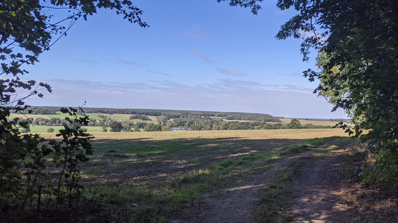 FriedWald Kamenz, Lückersdorfer Weg in Schönteichen