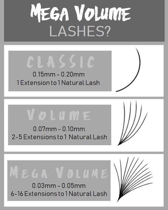 Lash Love - Ozark, MO