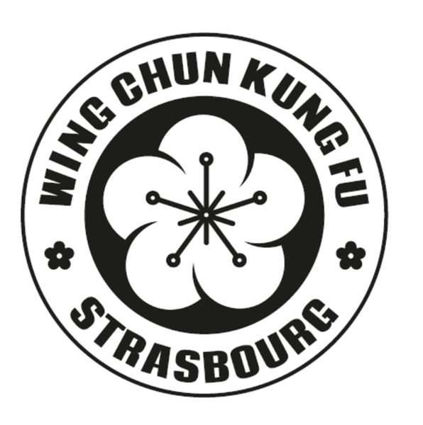 Wing Chun Kung Fu Strasbourg arts martiaux (salles et cours)