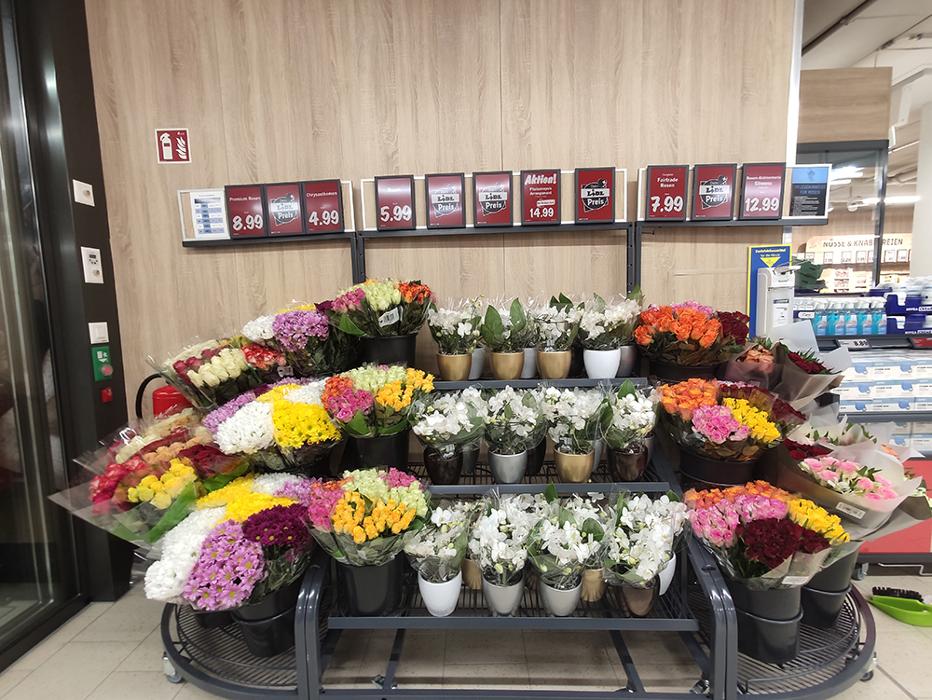 Lidl Schweiz, Neumarkt in Brugg