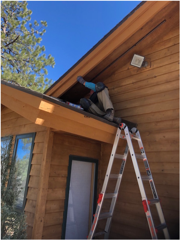 SAN JUAN WILDLIFE SERVICES - Mancos, CO