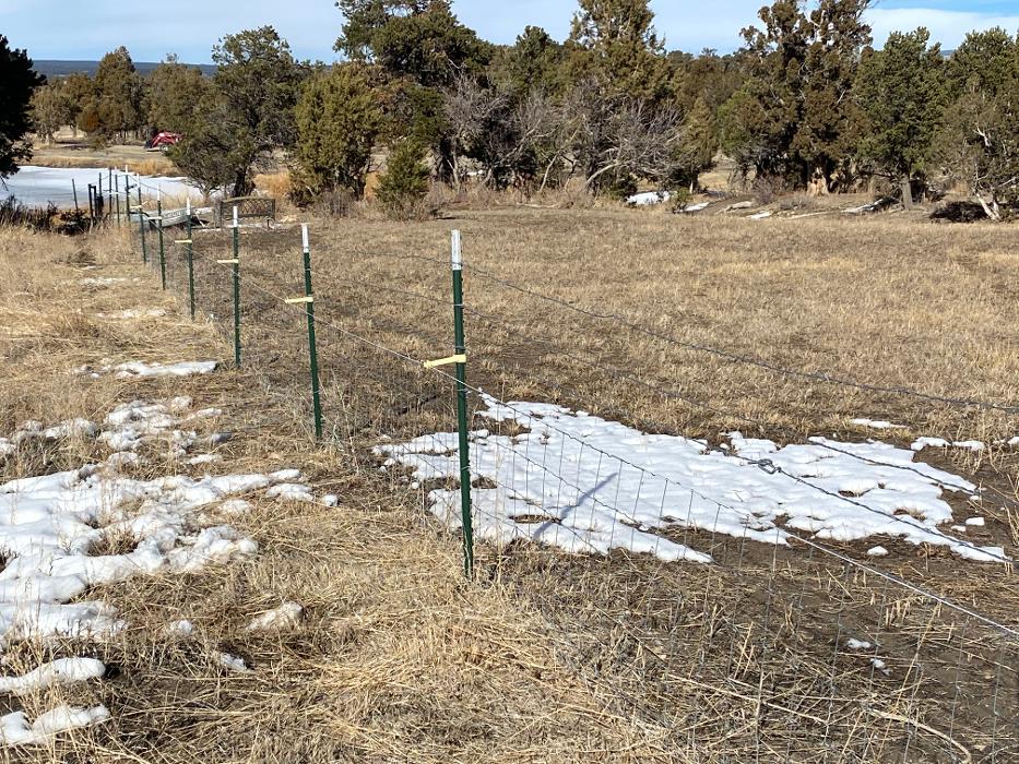 SAN JUAN WILDLIFE SERVICES - Mancos, CO
