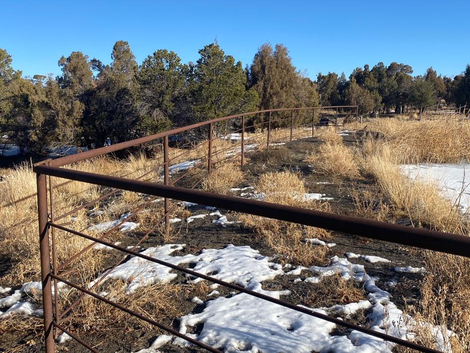 SAN JUAN WILDLIFE SERVICES - Mancos, CO