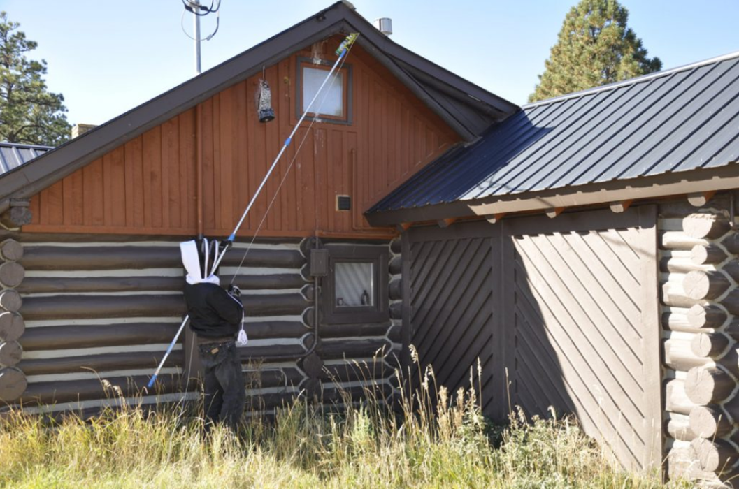SAN JUAN WILDLIFE SERVICES - Mancos, CO