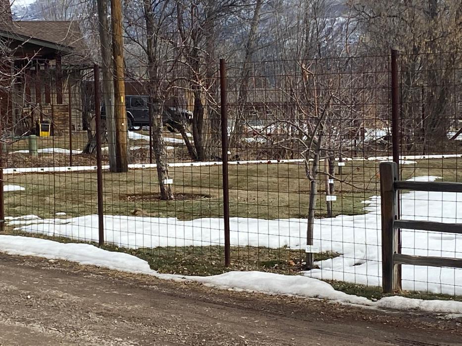 SAN JUAN WILDLIFE SERVICES - Mancos, CO