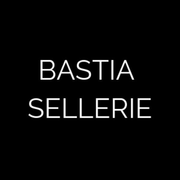 Bastia Sellerie expert en automobile