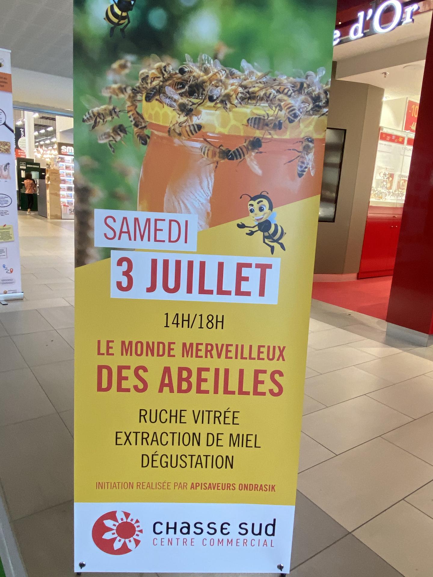 galerie image