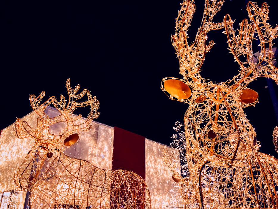 Glow Holiday Festival - Falcon Heights, MN