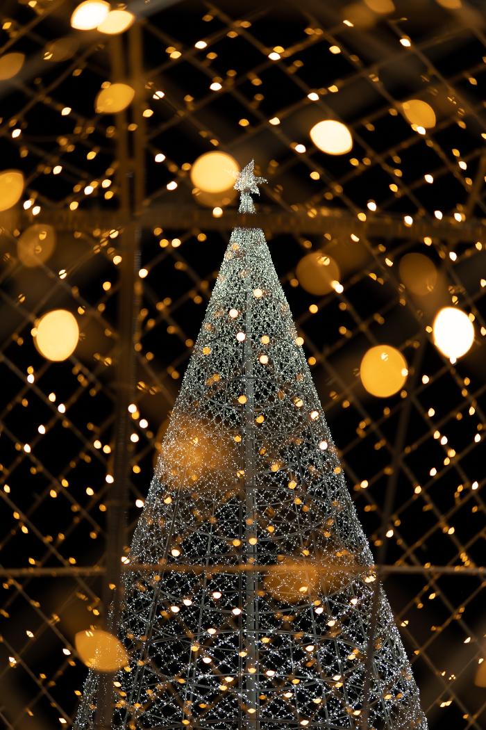 Glow Holiday Festival - Falcon Heights, MN