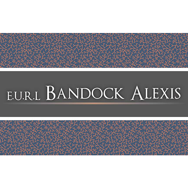 Bandock Alexis EURL peintre (artiste)