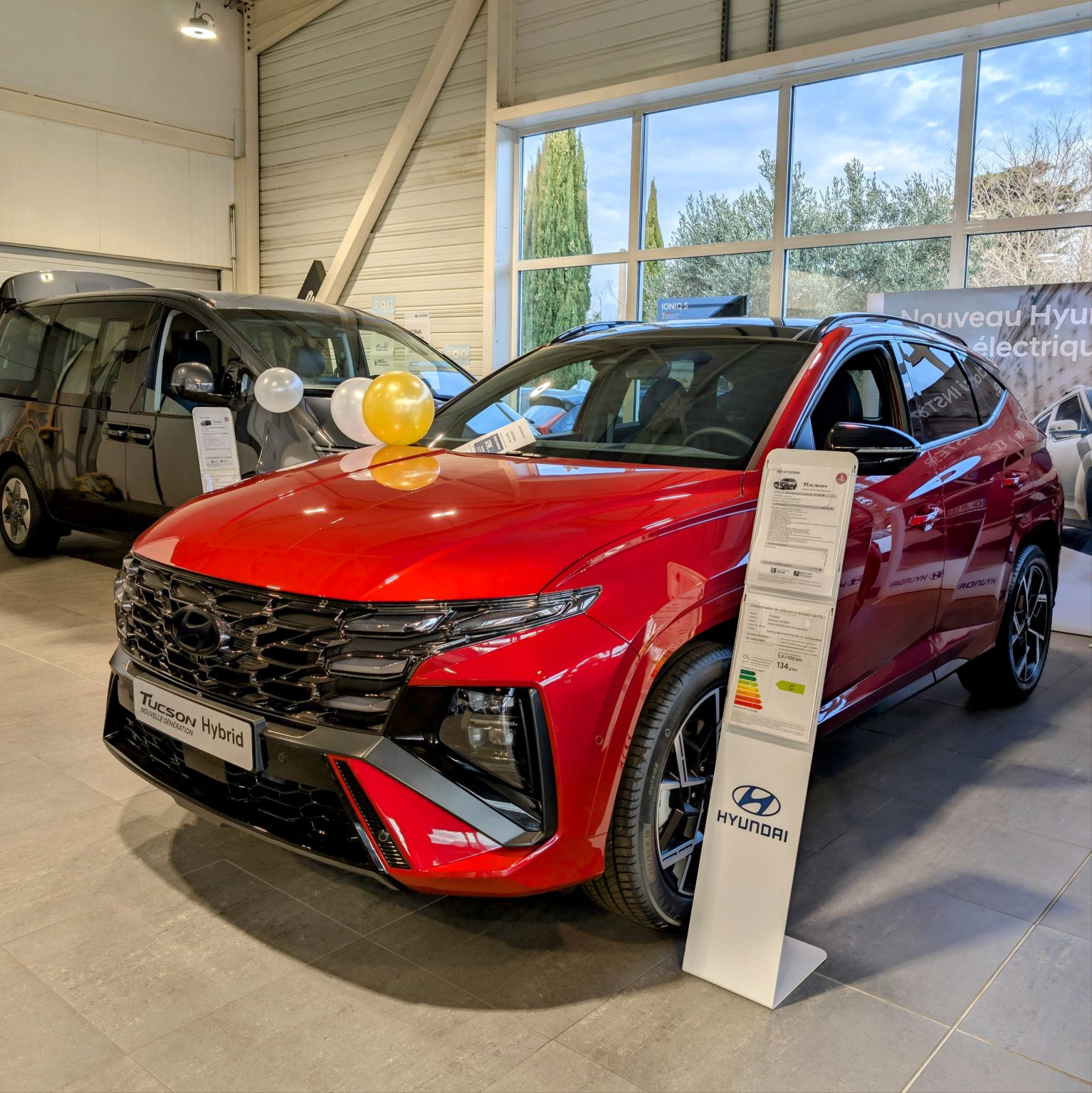 Miniature de la galerie