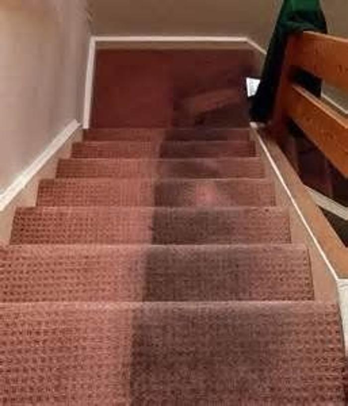 All Brite Carpet Cleaning - Dewitt, MI