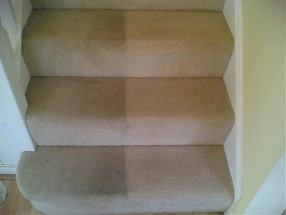 All Brite Carpet Cleaning - Dewitt, MI