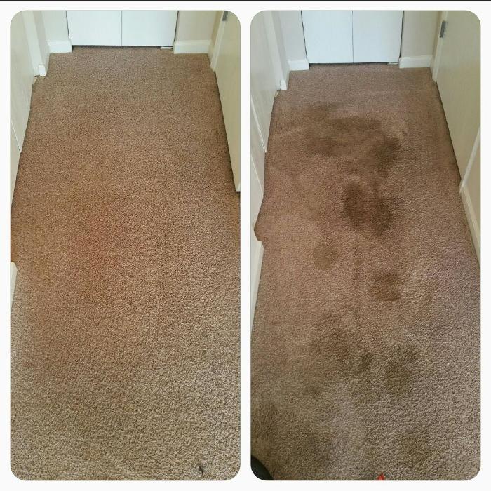 All Brite Carpet Cleaning - Dewitt, MI