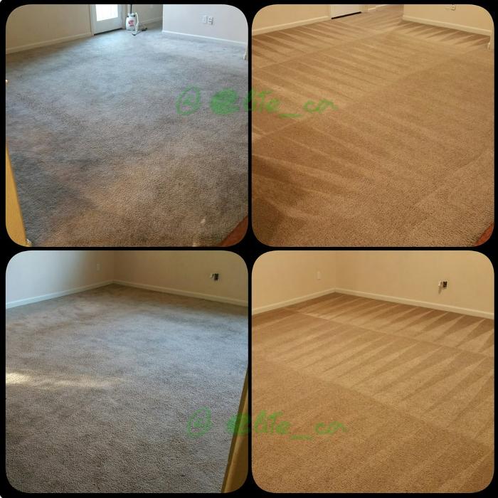 All Brite Carpet Cleaning - Dewitt, MI