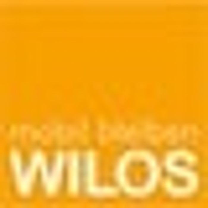 Bild zu WILOS MPU-Beratung in Osnabrück Bild zu WILOS MPU-Beratung in Osnabrück