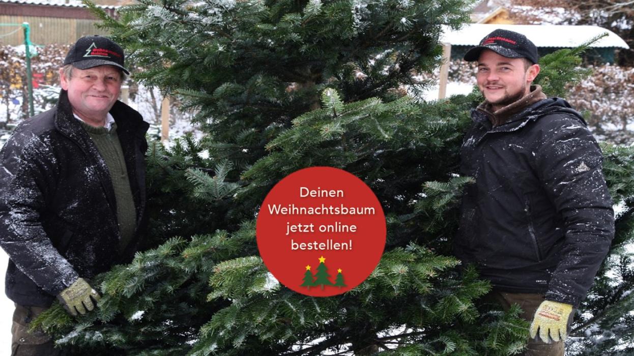 Weihnachtsbaum Onlineshop - Dein Weihnachtsbaum DE