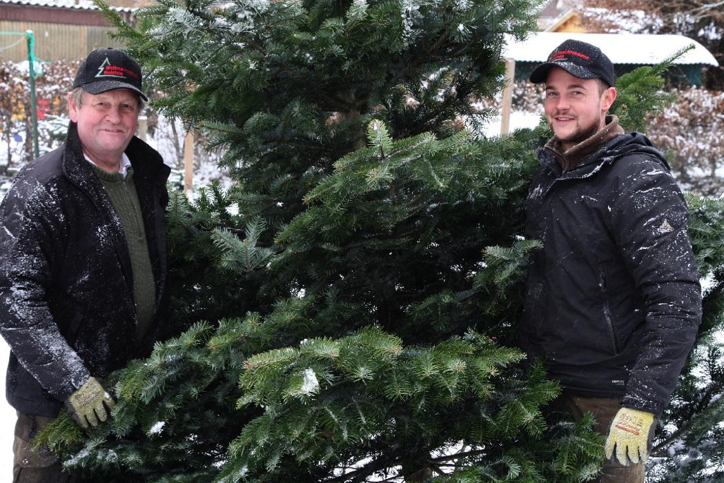 Weihnachtsbäume Holstein KG - Weihnachtsbaum Großhandel