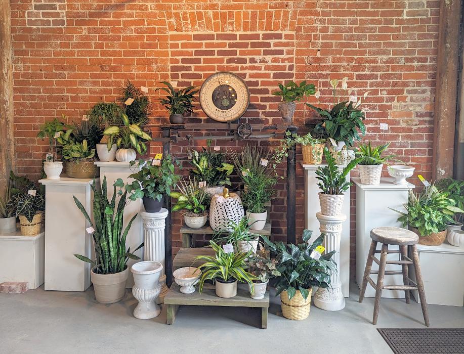 Lucilles Floral Designs Image