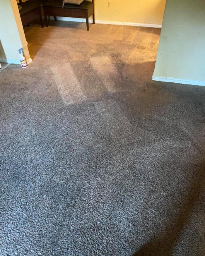 Quay's Carpet Cleaning Services - Augusta, GA