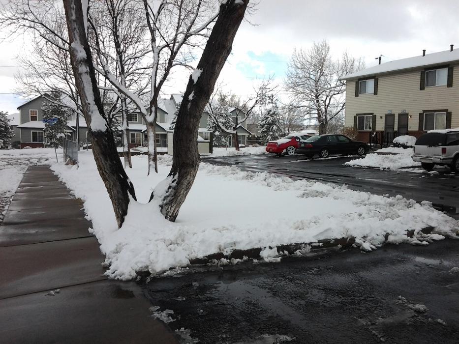 Bento Snow Removal Service - Somerville, MA