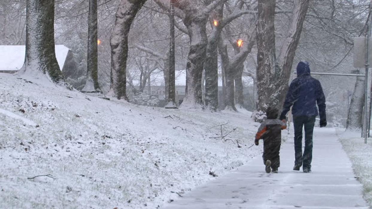 Bento Snow Removal Service - Somerville, MA