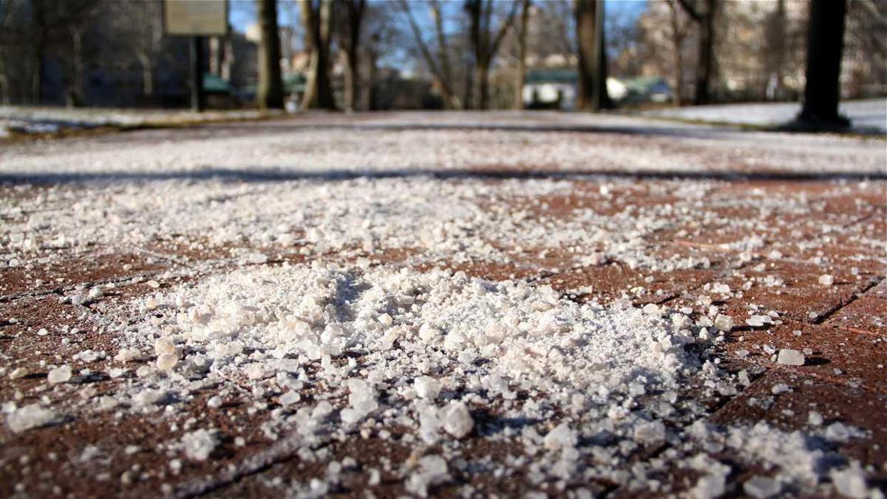 Bento Snow Removal Service - Somerville, MA