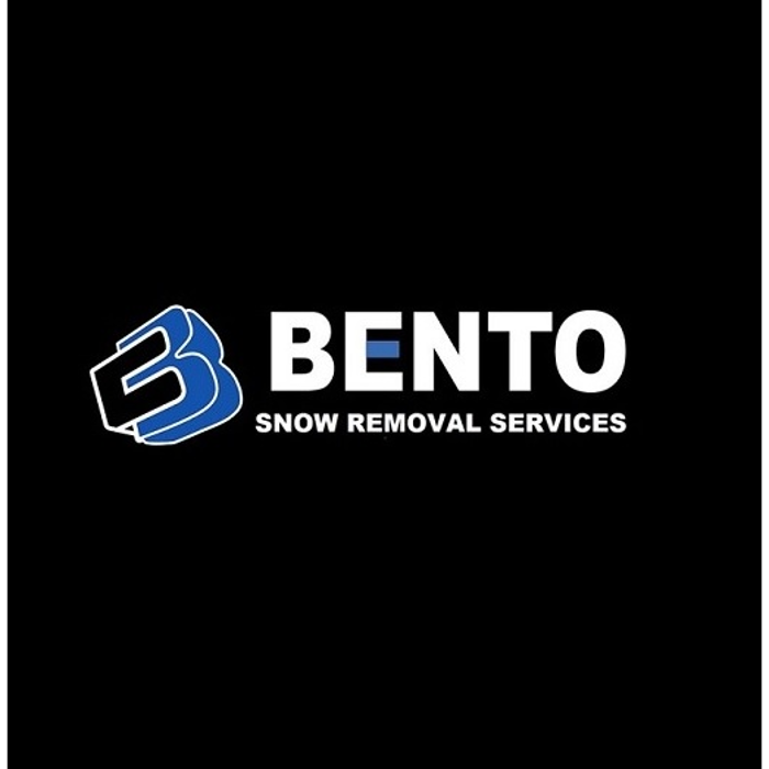 Bento Snow Removal Service - Somerville, MA
