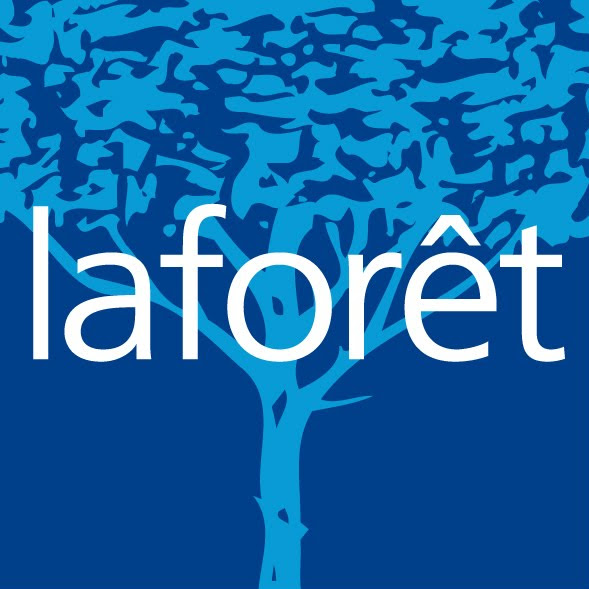 Agence immobilière Laforêt Viroflay agence immobilière