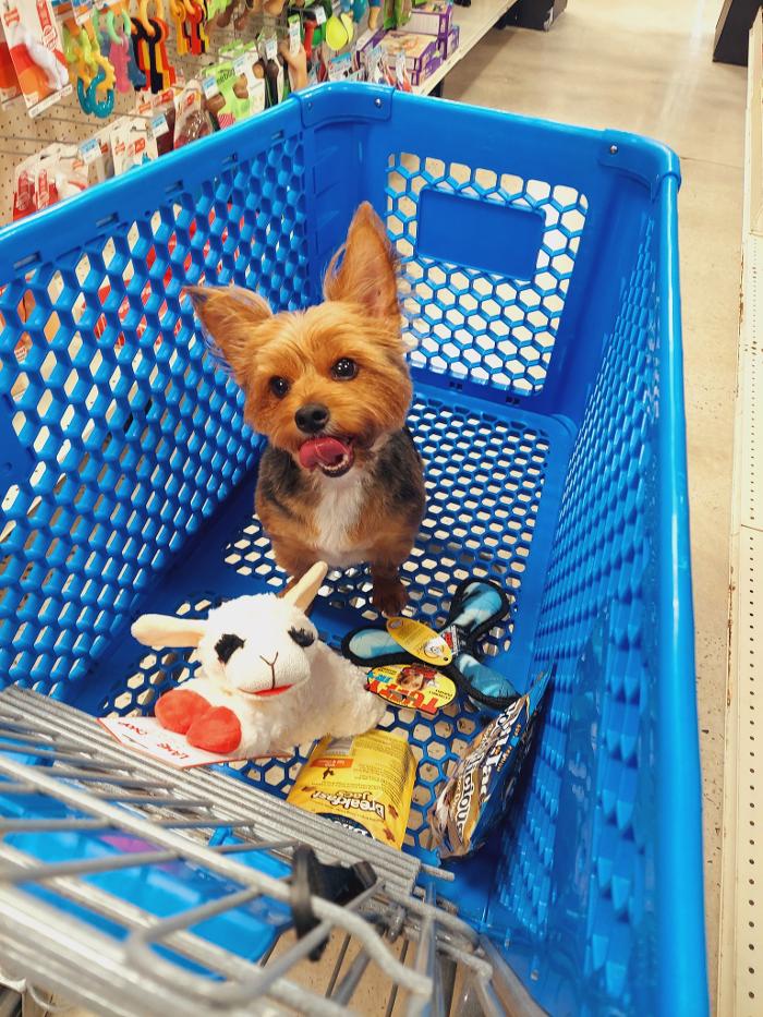 Petsense by Tractor Supply Logo