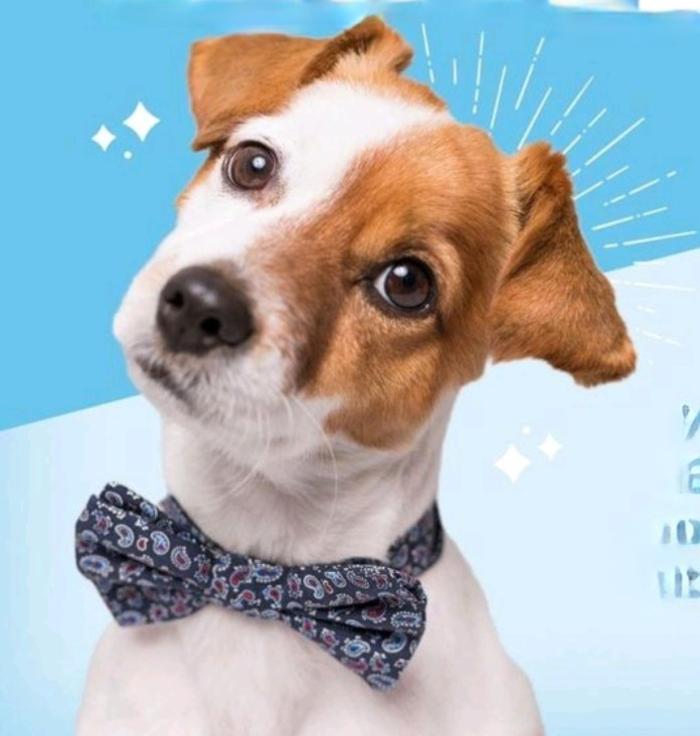 Petsense by Tractor Supply - Fort Oglethorpe, GA