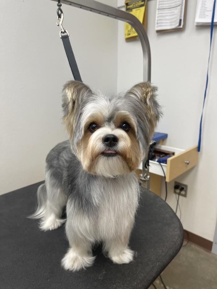 Petsense by Tractor Supply Image