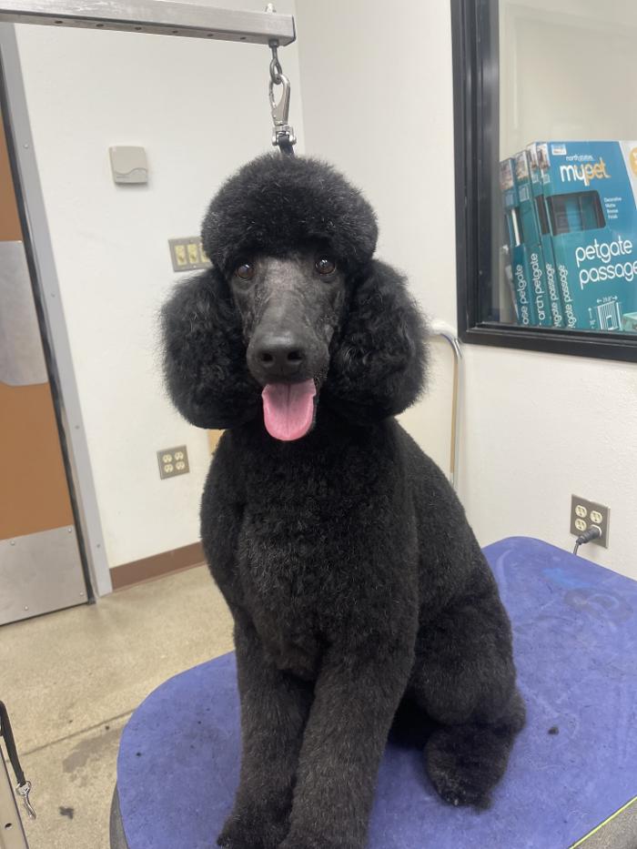 Petsense by Tractor Supply Logo