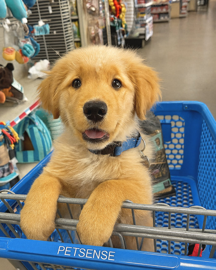 Petsense by Tractor Supply Image