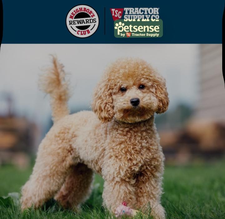 Petsense by Tractor Supply - Danville, KY