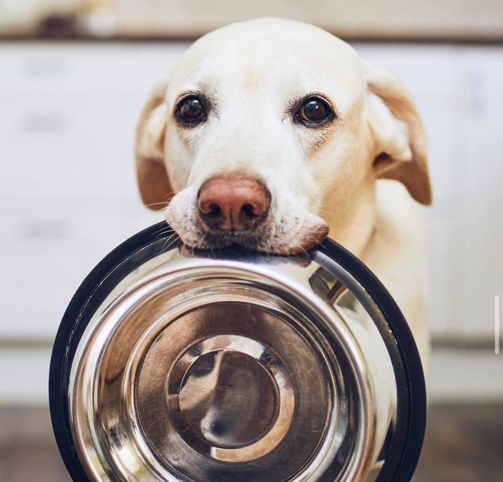 Petsense by Tractor Supply - Danville, KY