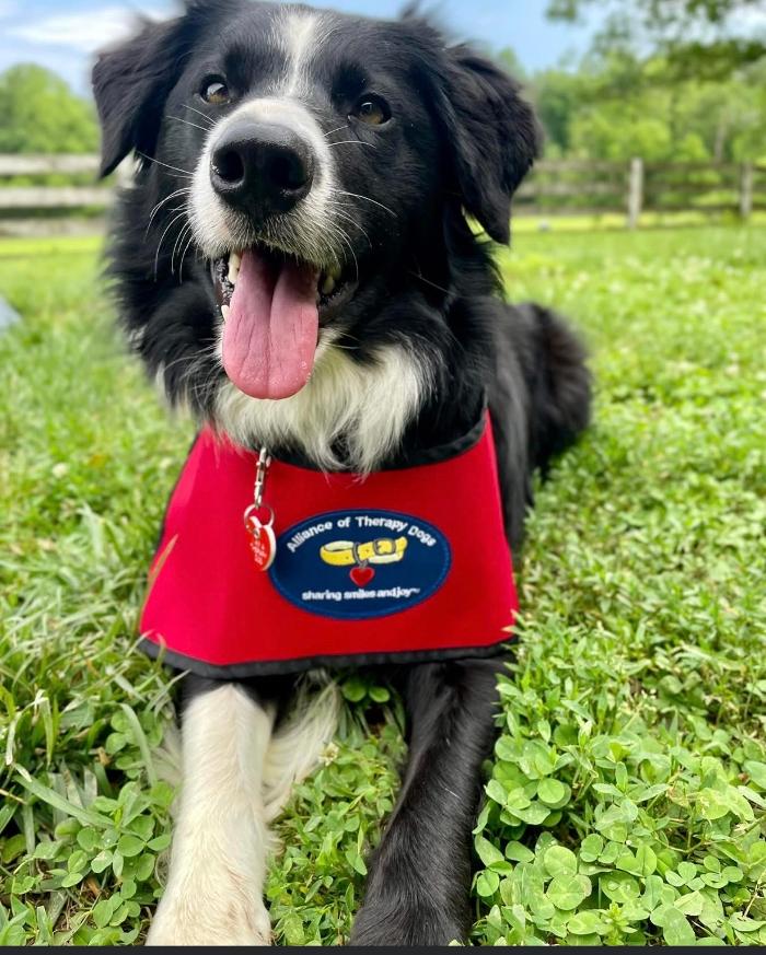 Petsense by Tractor Supply - Danville, KY