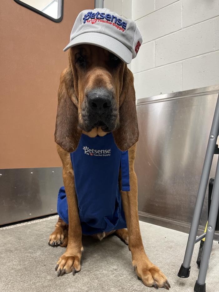 Petsense by Tractor Supply Logo