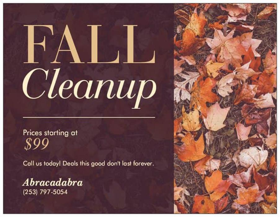 Abracadabra Cleaning Service - Puyallup, WA