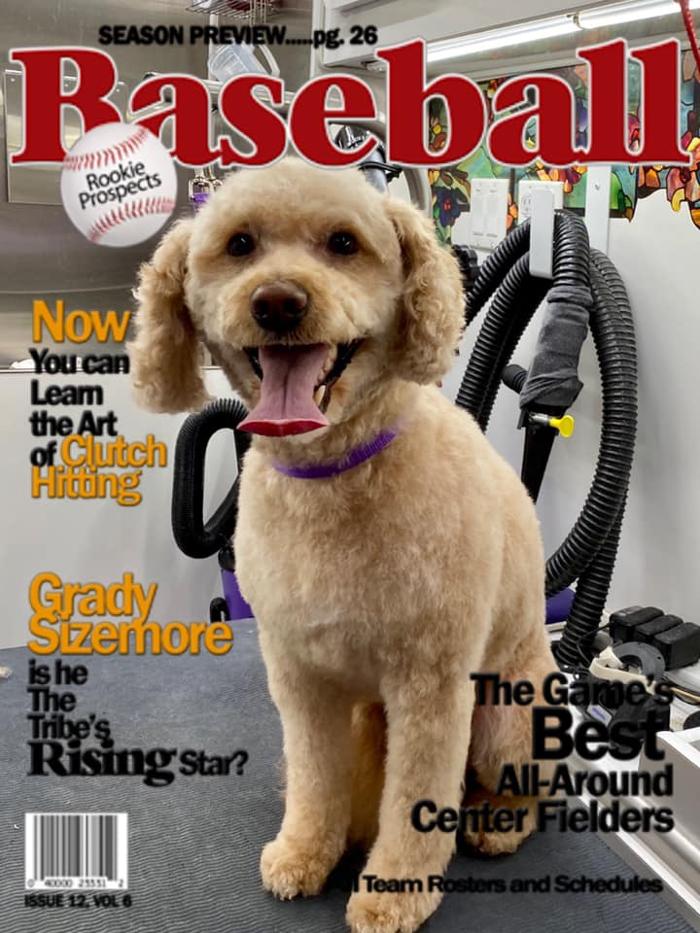Groom 'n' Zoom Mobile Grooming - Sonora - Sonora, CA