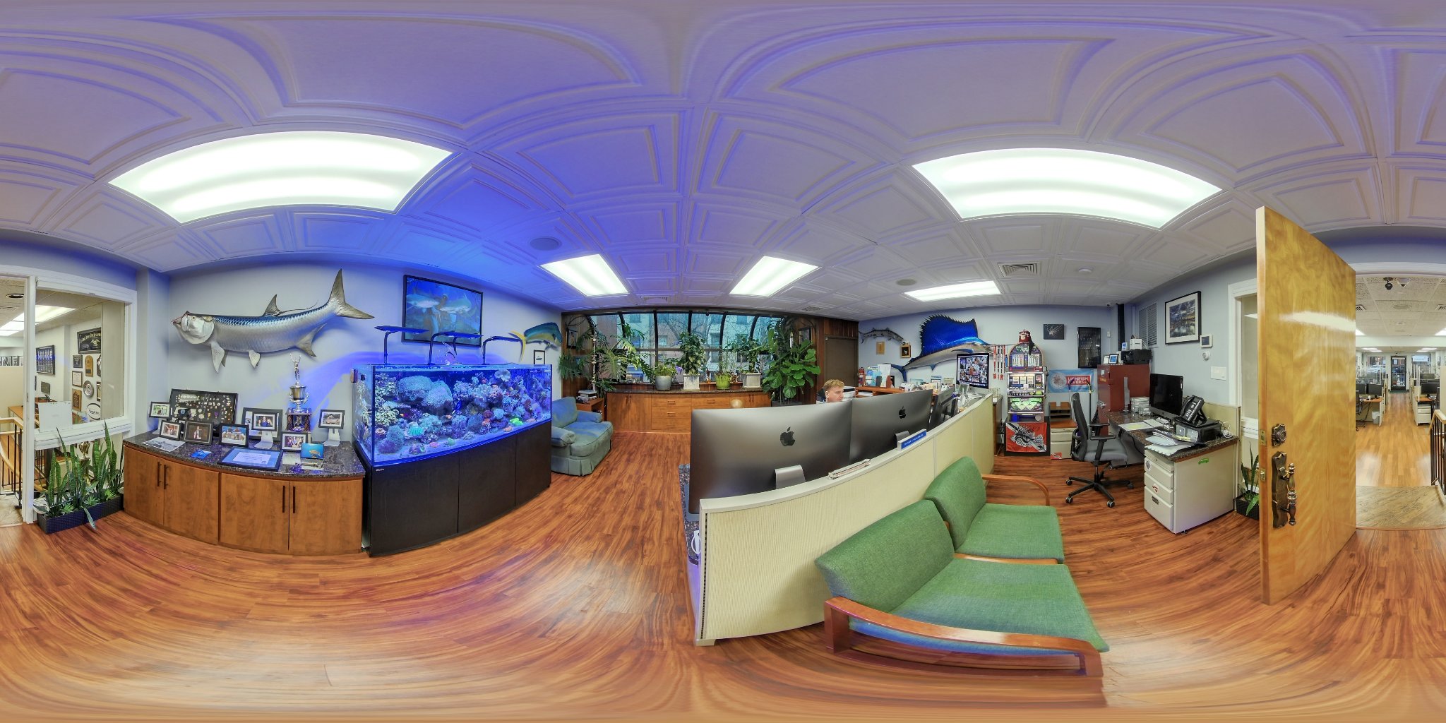 Gallery thumbnail