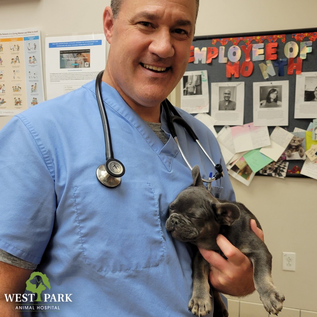 Image 25 | West Park Animal Hospital