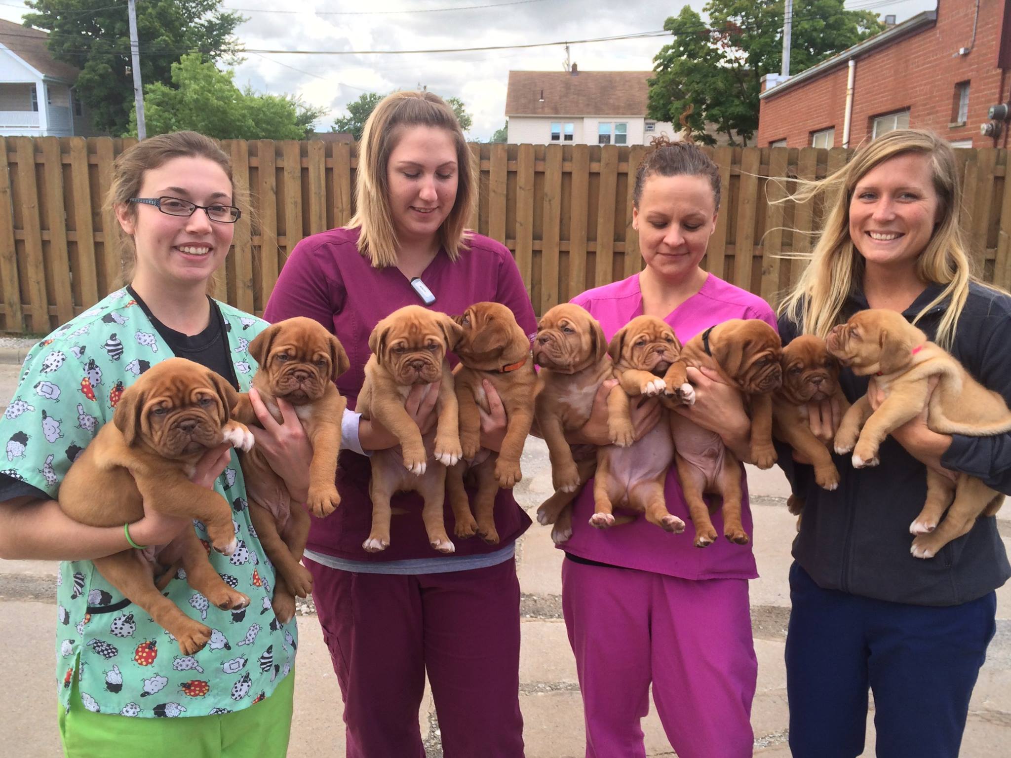 Image 8 | West Park Animal Hospital