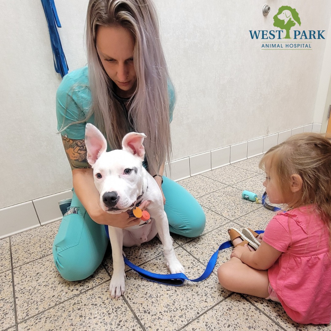 Image 24 | West Park Animal Hospital