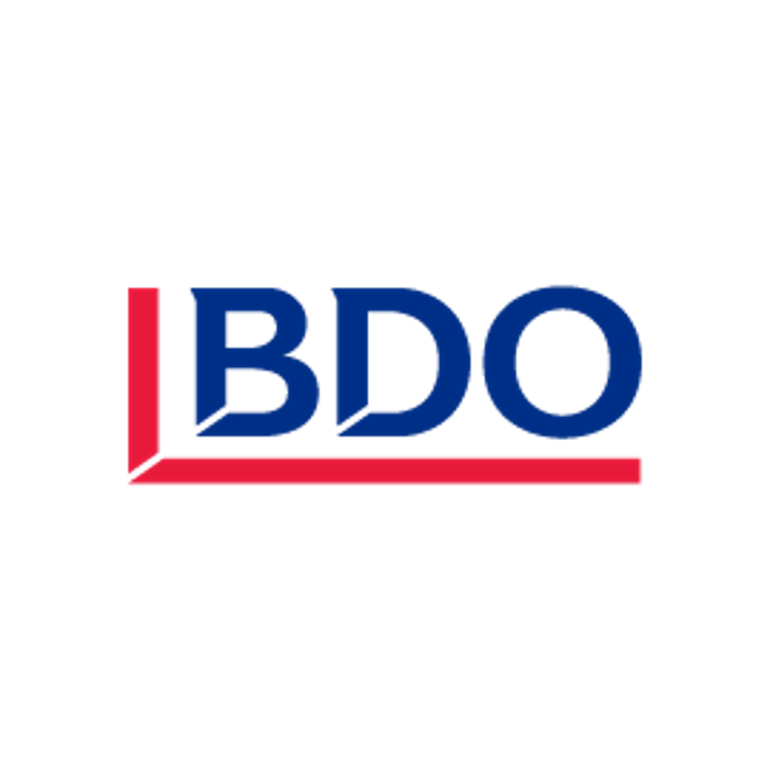 BDO Debt Solutions