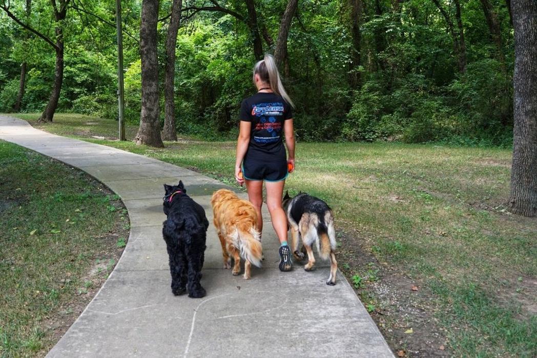 Off Leash K9 Training Springfield - Branson, MO